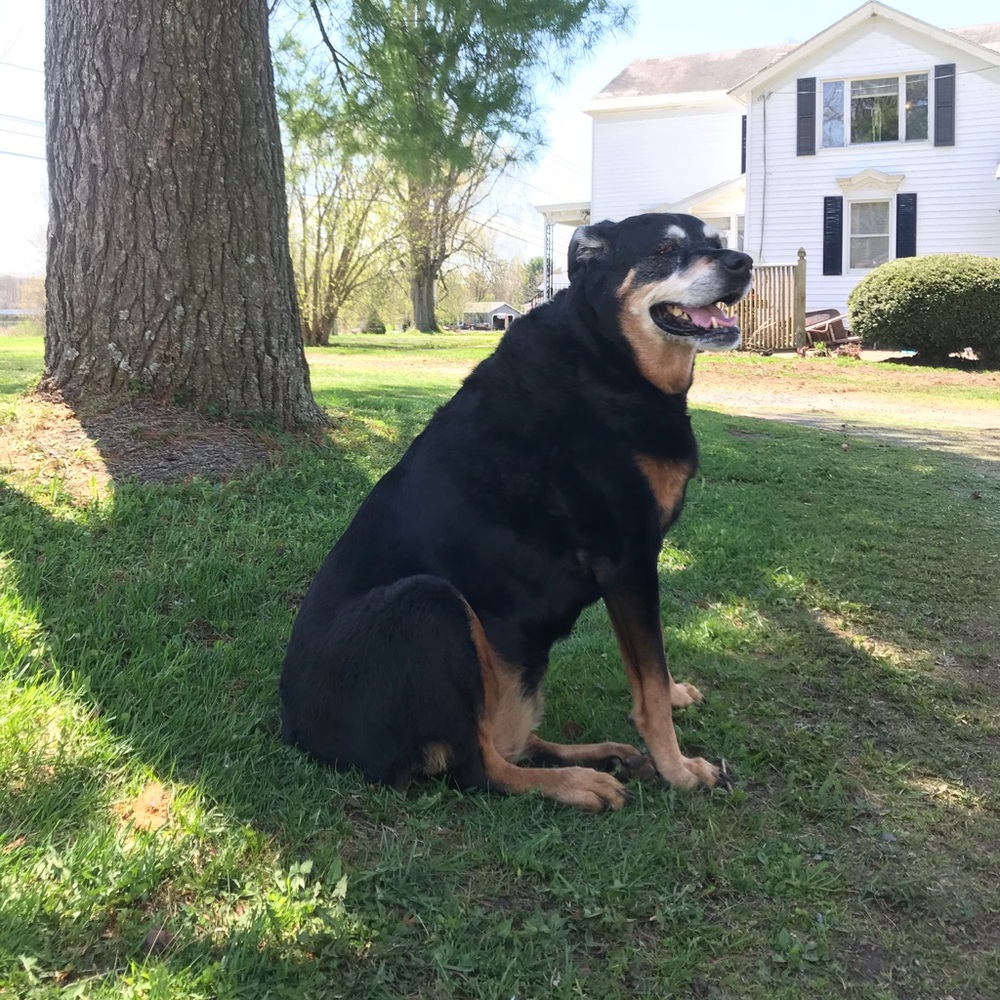 Meet your Posher, Sean